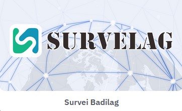 surveylag